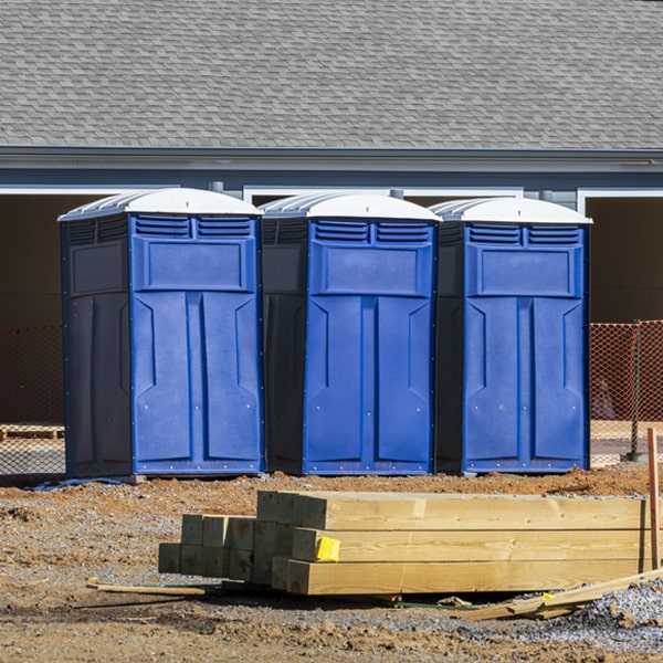 what is the maximum capacity for a single porta potty in Cairo NY